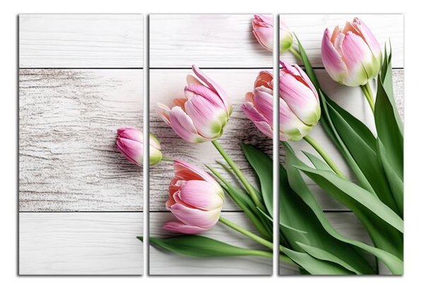 Obraz na plátně Růžové tulipány