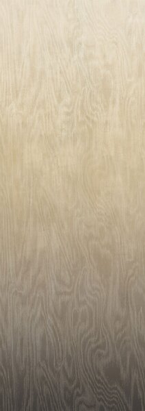 Vliesová fototapeta na zeď, Moiré, DG4MOI1053-260, Wall Designs IV, Khroma by Masureel