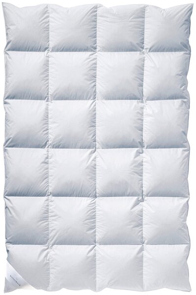 ZIMNÍ PŘIKRÝVKA, 135/200 cm, kachní prachové peří, kachní peří Billerbeck - Přikrývky, Online Only