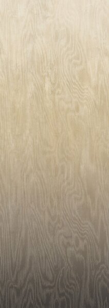 Vliesová fototapeta na zeď, Moiré, DG4MOI1052-260, Wall Designs IV, Khroma by Masureel