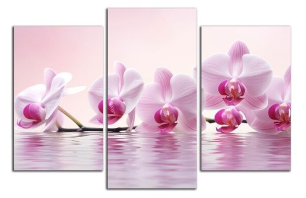 Obraz do bytu Růžové orchideje