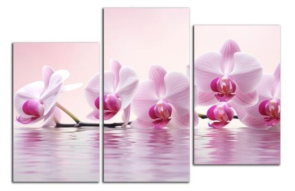 Obraz do bytu Růžové orchideje