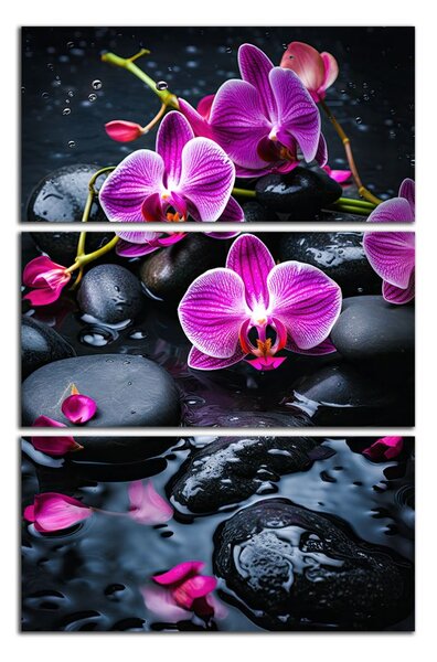 Moderní obraz Fialové orchideje na kamenech