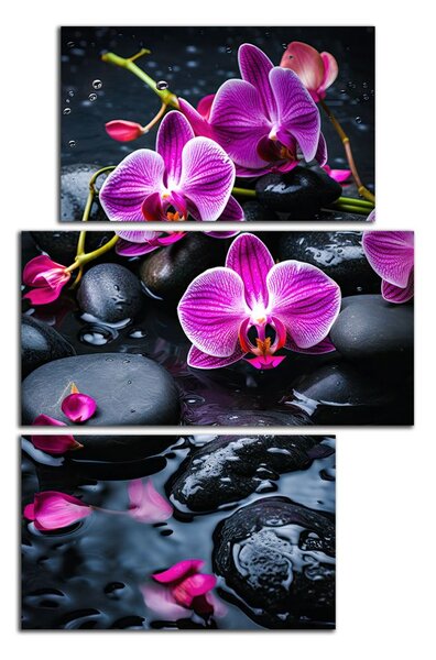 Moderní obraz Fialové orchideje na kamenech