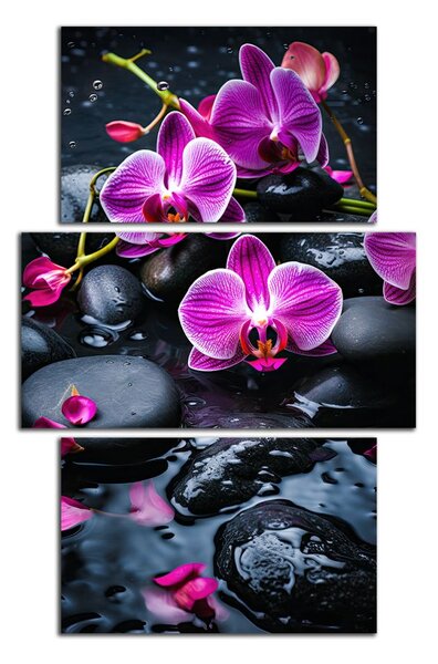 Moderní obraz Fialové orchideje na kamenech