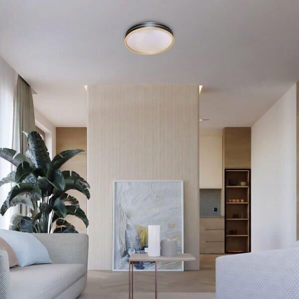 RABALUX 71141 Gandor stropní svítidlo LED D390mm 24W/1850lm 3000-6500K černá, bílá, stmívatelné, dálkový ovladač