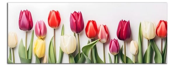 Obraz na plátně Různobarevné tulipány