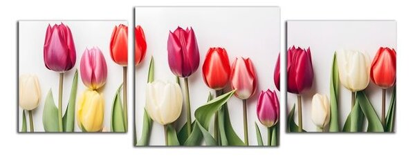 Obraz na plátně Různobarevné tulipány