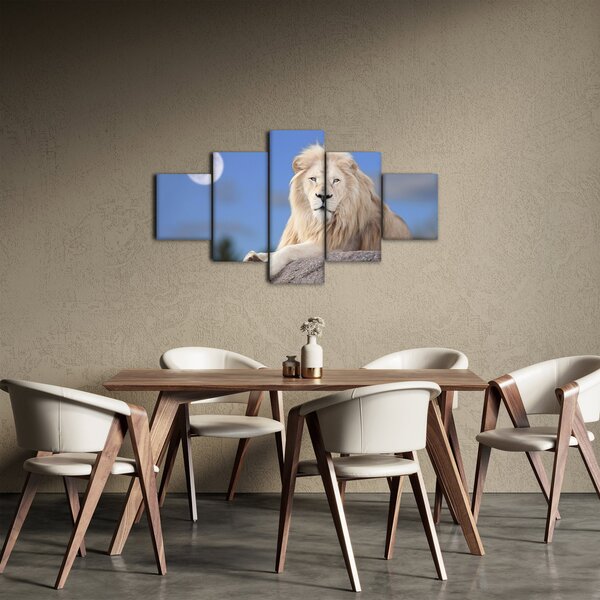 Obraz - Bílý lev (125x70 cm)