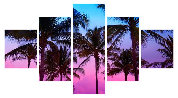 Obraz - Palmy v Miami (125x70 cm)