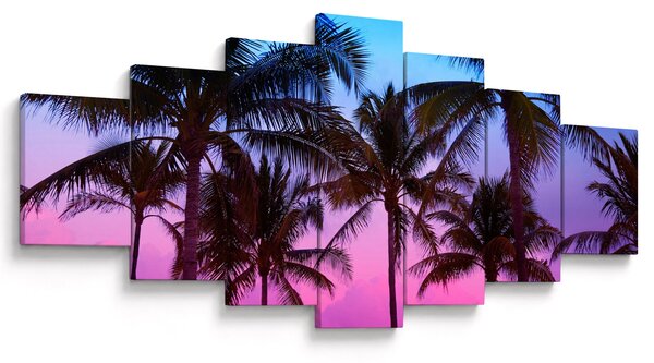 Obraz - Palmy v Miami (210x100 cm)