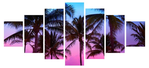 Obraz - Palmy v Miami (210x100 cm)