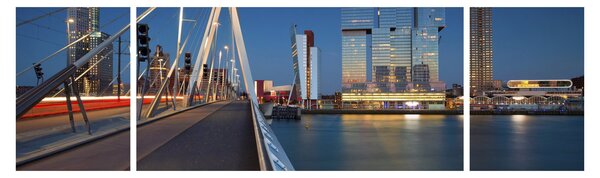 Obraz - Stmívání v Rotterdamu, Holandsko (170x50 cm)