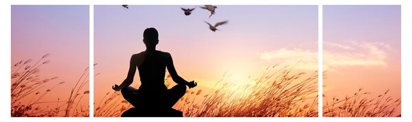 Obraz - Meditace (170x50 cm)