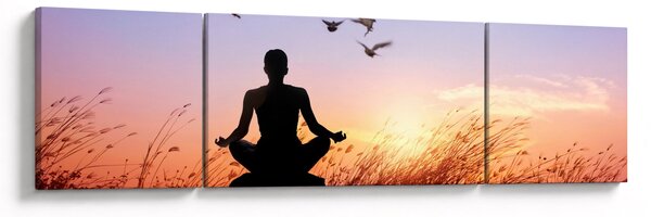 Obraz - Meditace (170x50 cm)