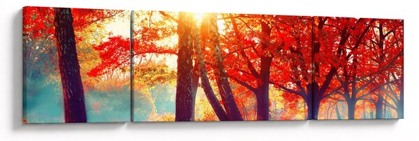 Obraz - Podzimní krajina (170x50 cm)