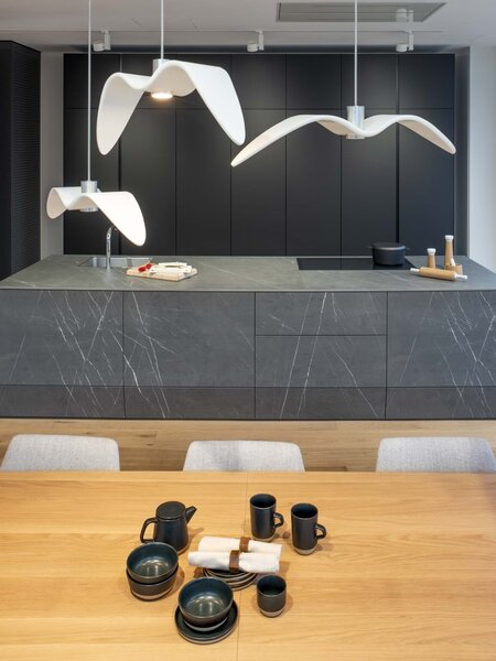 Designové závěsné svítidlo Brokis Night Birds PC964 Povrch Montury: Stříbrný elox, Barva skla: Šedá kouřová - masiv, Povrch baldachýnu: kov - černý matný komaxit