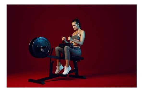 Gorilla Sports Lavice na výpony na lýtka v sedě