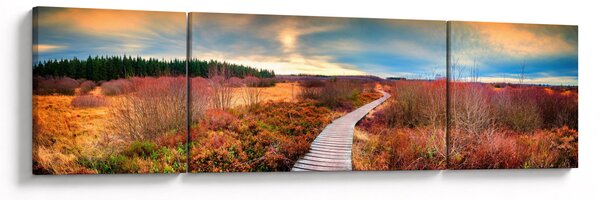 Obraz - Podzimní cesta krajinou (170x50 cm)