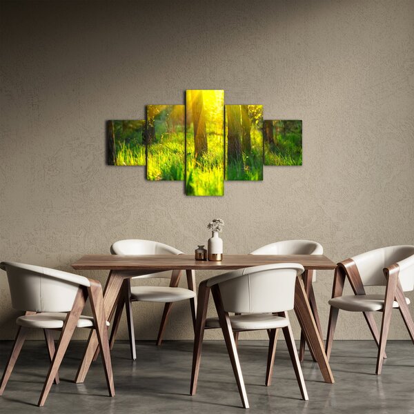 Obraz - Jarní probouzení lesa (125x70 cm)