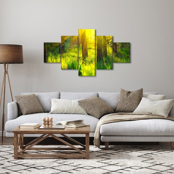 Obraz - Jarní probouzení lesa (125x70 cm)