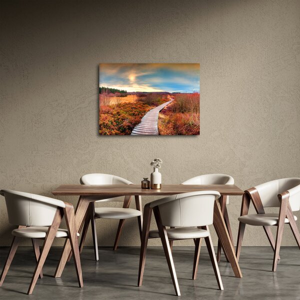 Obraz - Podzimní cesta krajinou (70x50 cm)