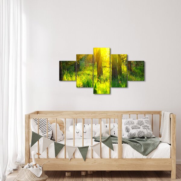 Obraz - Jarní probouzení lesa (125x70 cm)
