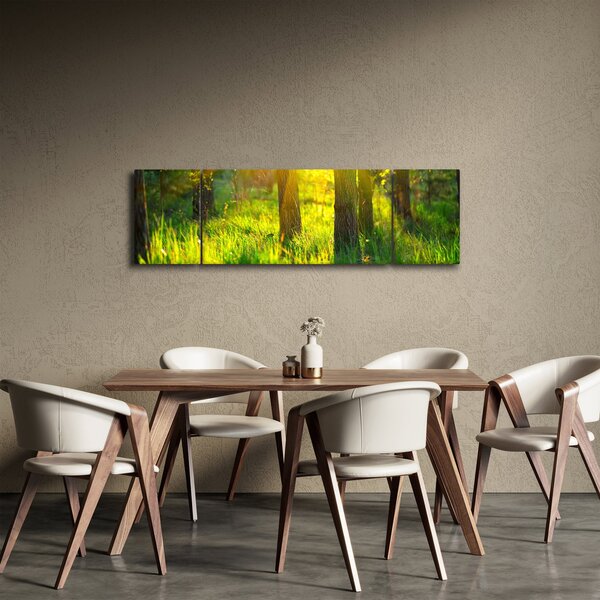 Obraz - Jarní probouzení lesa (170x50 cm)
