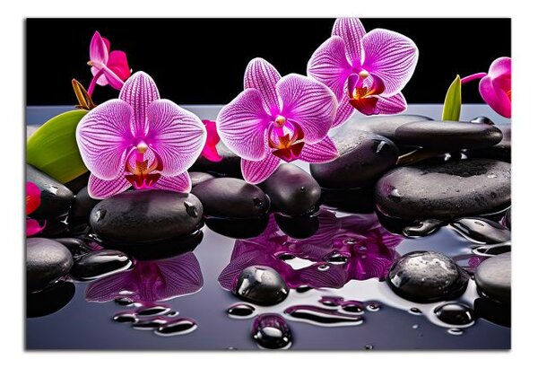 Moderní obraz Orchideje a černé kameny