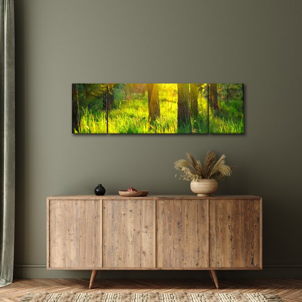 Obraz - Jarní probouzení lesa (170x50 cm)