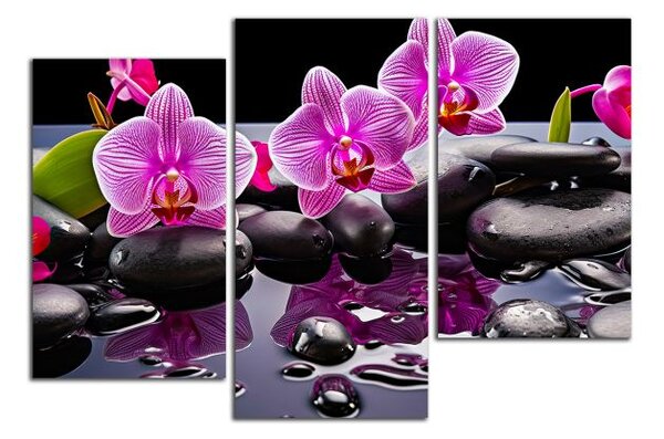 Moderní obraz Orchideje a černé kameny