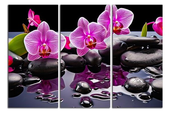 Moderní obraz Orchideje a černé kameny