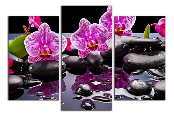 Moderní obraz Orchideje a černé kameny