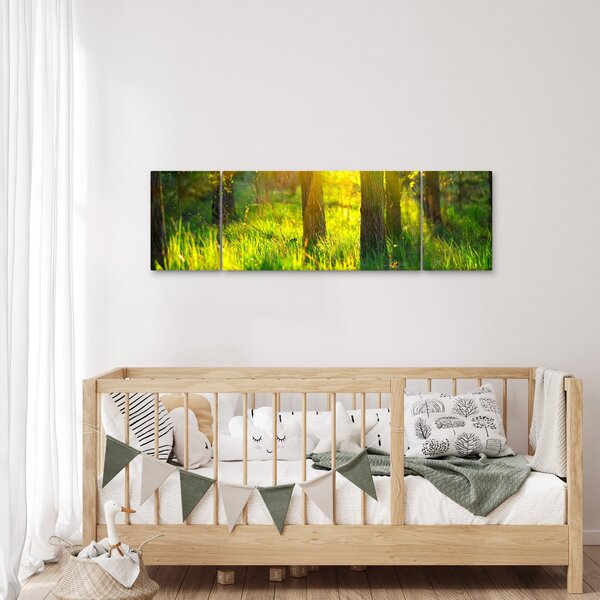 Obraz - Jarní probouzení lesa (170x50 cm)