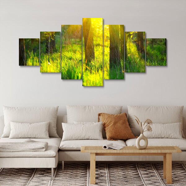 Obraz - Jarní probouzení lesa (210x100 cm)