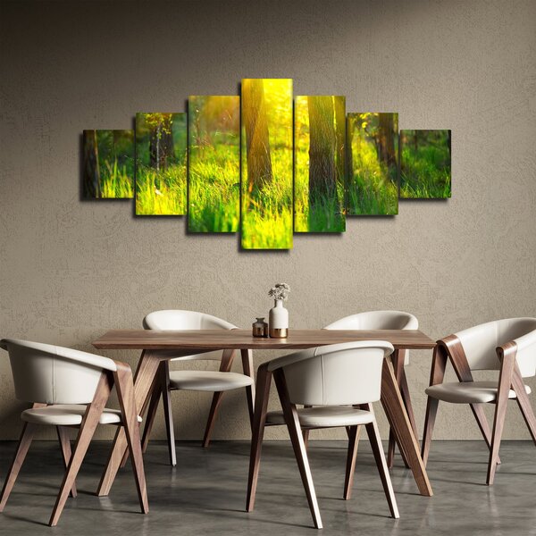 Obraz - Jarní probouzení lesa (210x100 cm)