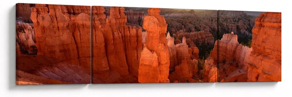 Obraz - Národní park Utah (170x50 cm)