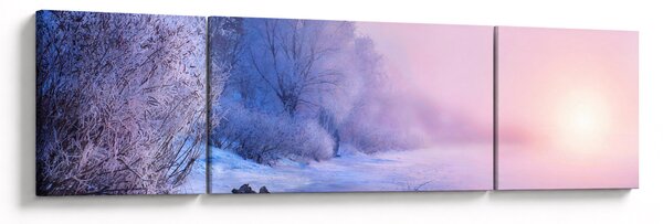Obraz - Zamrzlá řeka (170x50 cm)