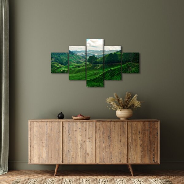 Obraz - Čajové plantáže v Malajsii (125x70 cm)
