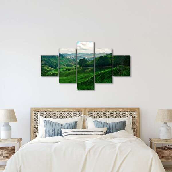 Obraz - Čajové plantáže v Malajsii (125x70 cm)