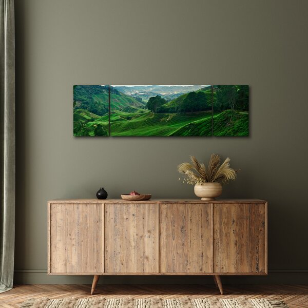 Obraz - Čajové plantáže v Malajsii (170x50 cm)