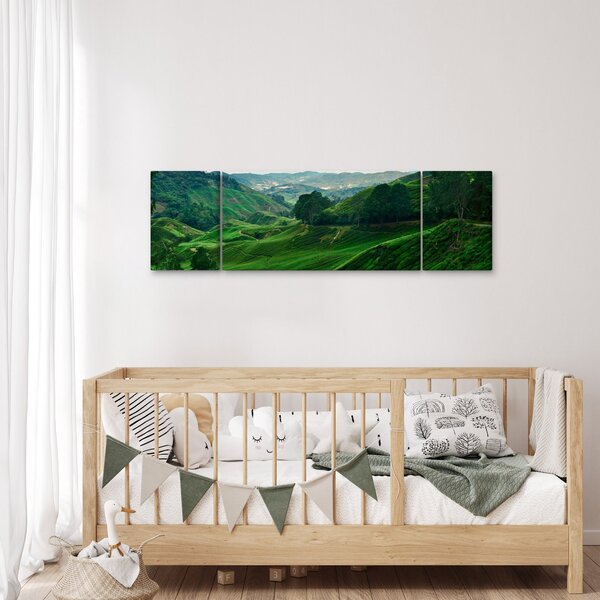 Obraz - Čajové plantáže v Malajsii (170x50 cm)