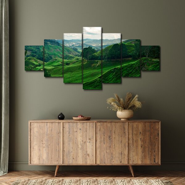 Obraz - Čajové plantáže v Malajsii (210x100 cm)