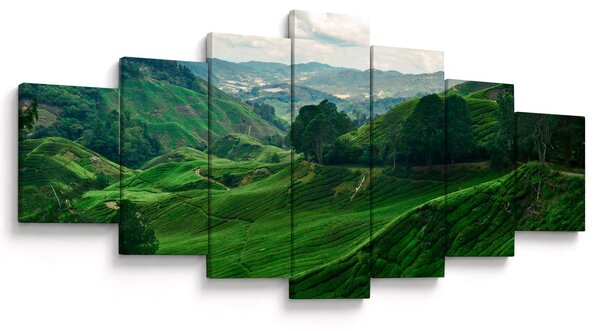 Obraz - Čajové plantáže v Malajsii (210x100 cm)