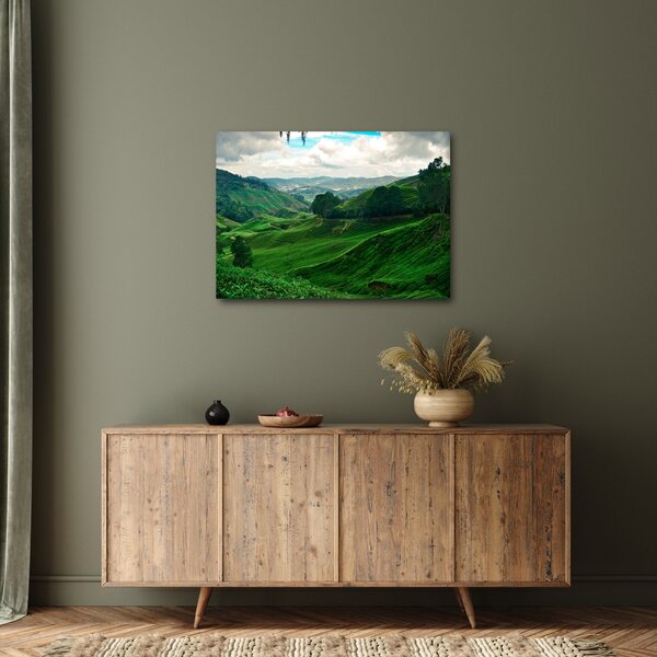 Obraz - Čajové plantáže v Malajsii (70x50 cm)