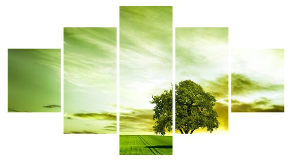 Obraz - Strom života (125x70 cm)