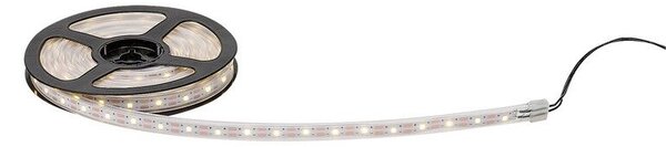 RABALUX 77016 Ansoo solární svítidlo - LED pásek 3000mm 0,26W/30lm 3000K IP44 bílá, soumrakový senzor