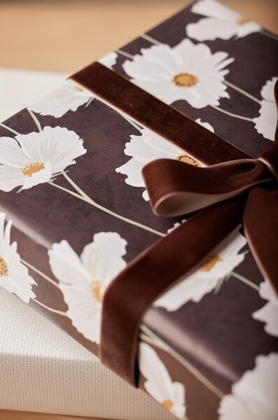 Serviteur Sametová stuha Dark Brown 2,5 cm - 9 m SRT176