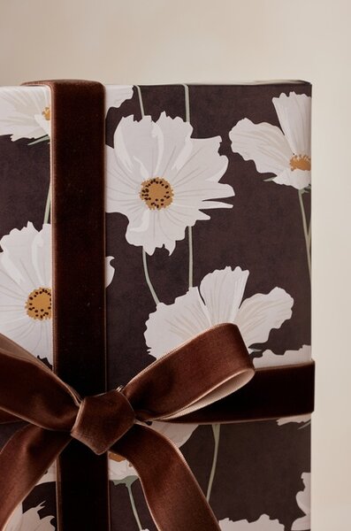 Serviteur Sametová stuha Dark Brown 2,5 cm - 9 m SRT176