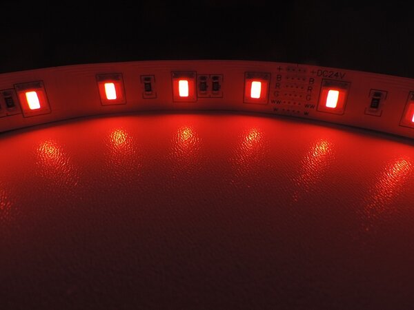 RGB+W+CW LED pásek 5v1, 19,6W/m, RGB+ Studená+ teplá bílá, 12mm, PROFI, 24V, IP20, 60LED/m